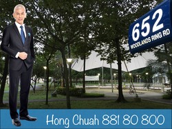 woodlands-ring-road photo thumbnail #7
